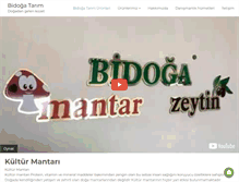 Tablet Screenshot of bidoga.com